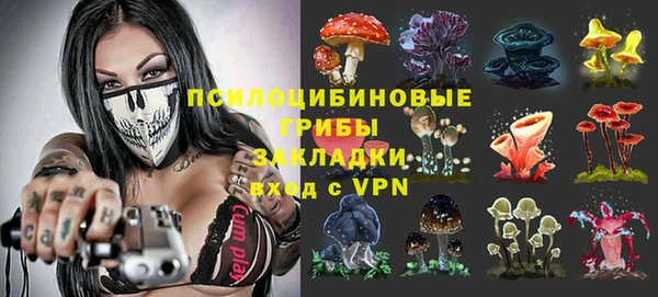 ПСИЛОЦИБИНОВЫЕ ГРИБЫ Бронницы